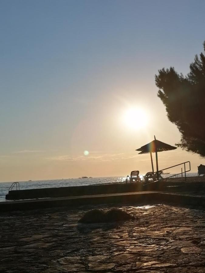 Villanova Apartments Poreč Eksteriør billede